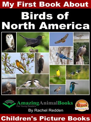 cover image of My First Book about Birds of North America